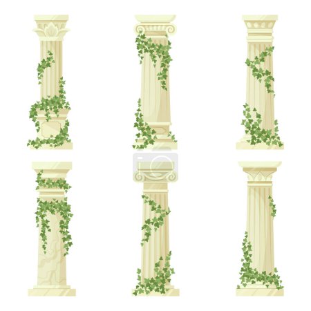 Illustration for Ivy-covered classic columns vector set. Cartoon greek antique roman pillars with climbing ivy branches isolated flat vector illustration collection - Royalty Free Image