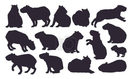 Illustration for Capybara silhouettes. Semi-aquatic capybara wild animals cute animals, cute mammal hydrochoerus stencil flat vector illustration set. Capybara rodent silhouette collection - Royalty Free Image