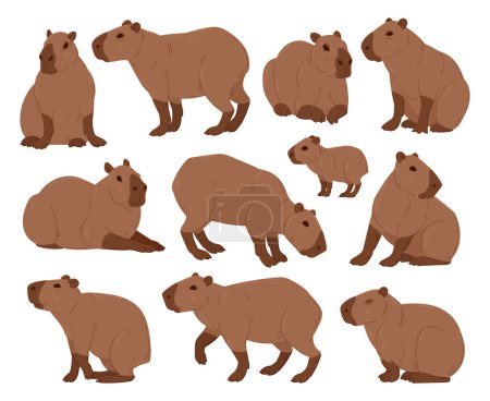 Téléchargez les illustrations : Caricature capybara. Mignons capybaras, drôles d'animaux sauvages semi-aquatiques, herbivores mammifères hydrochoerus plat vecteur illustration ensemble. Collection de rongeurs Capybara - en licence libre de droit