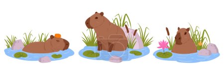Téléchargez les illustrations : Capybara semi-aquatique. Dessin animé mignons capybaras assis dans l'eau, drôles d'animaux sauvages. Ensemble d'illustrations vectorielles plates pour rongeurs de mammifères herbivores - en licence libre de droit