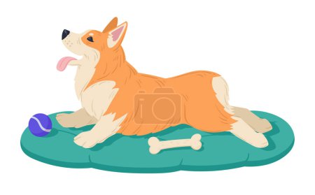 Illustration for Cute resting corgi. Cartoon cute corgi dog, happy domestic pedigree puppy flat vector illustration on white background - Royalty Free Image