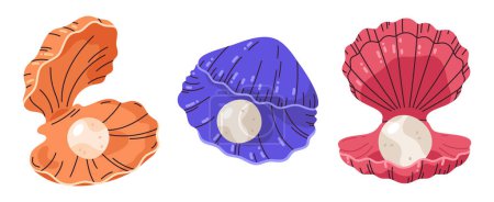 Illustration for Pearls in seashells. Scallop seashell with pearl, open clam shells, sea shellfish. Ocean fauna flat vector illustration set - Royalty Free Image