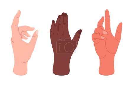 Téléchargez les illustrations : Les gestes des mains humaines. Palmiers avec geste élégant, mains masculines ou féminines montrant, présentant et pointant ensemble d'illustration vectorielle plate - en licence libre de droit