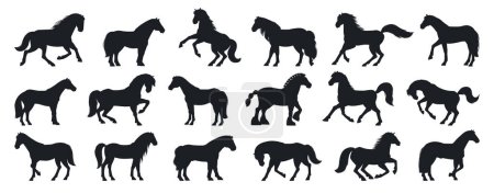 Silhouette de chevaux de dessin animé. Animaux domestiques de différentes races et pose ensemble vectoriel plat illustration. Gracieuses silhouettes de chevaux de ferme