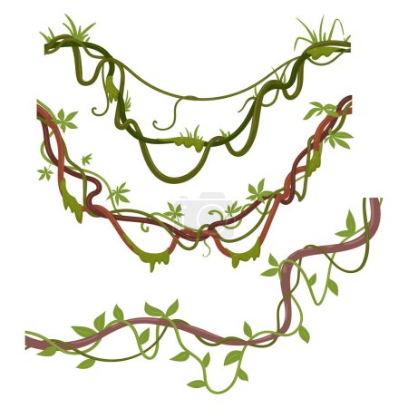 Tropische Kletterpflanzen. Zeichentrick-Dschungel-Lianenpflanzen, exotische Schlingpflanzen mit Moos. Dschungel Regenwald Lianen Reben Vektor Illustrationsset