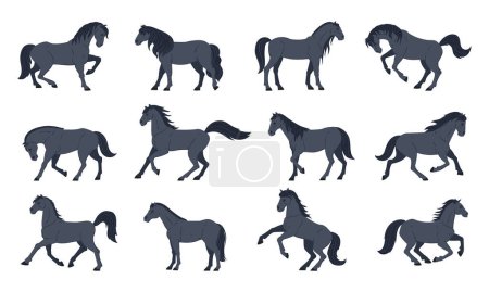 Illustration for Cartoon black horses. Domestic graceful animals, farm or ranch horses flat vector illustration set. Thoroughbred horses collection - Royalty Free Image