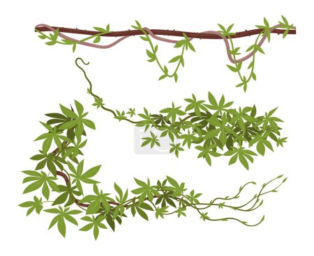 Illustration for Rainforest liana vines. Jungle liana plants, tropical climbing creepers. Cartoon exotic creeper flat vector illustration set - Royalty Free Image