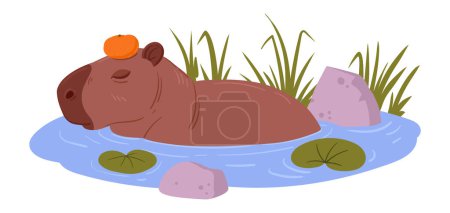 Téléchargez les illustrations : Capybara semi-aquatique. Dessin animé animal mignon dans un habitat naturel, mammifère herbivore sauvage reposant dans un étang illustration vectorielle plate - en licence libre de droit