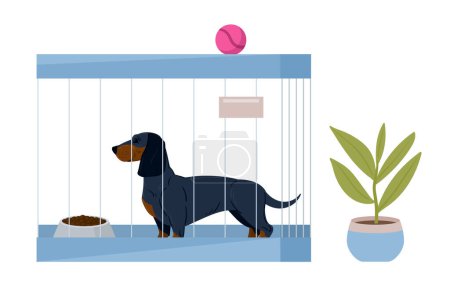 Téléchargez les illustrations : Dachshund en cage pour chien. Animalerie ou centre de secours pour animaux de compagnie, refuge d'adoption d'aide au chien, illustration vectorielle plate de l'hôtel chiot - en licence libre de droit