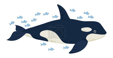 Illustration for Cartoon swimming orca. Ocean cute killer whale creature, underwater marine orca predator flat vector illustration on white background - Royalty Free Image
