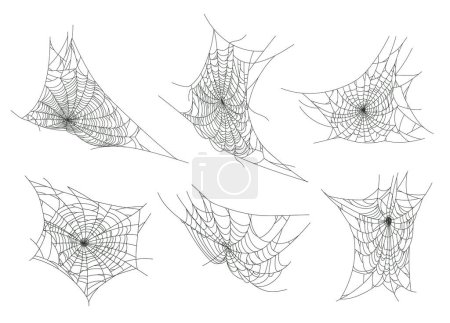 Illustration for Halloween spider web. Spooky horror halloween cobweb decor flat vector illustration set. Hanging halloween spider webs - Royalty Free Image