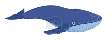 Illustration for Swimming whale. Cartoon ocean cute whale creature, underwater marine mammal animal flat vector illustration on white background - Royalty Free Image