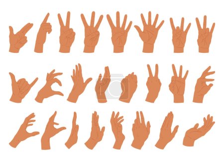 Illustration for Human hands gestures. Cartoon hand positions, call, ok, index finger and peace sign flat vector illustration set. Sign language collection - Royalty Free Image