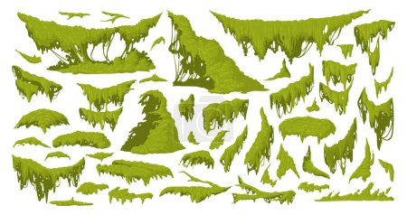 Téléchargez les illustrations : Cartoon jungle moss. Plantes de mousse verte, ensemble d'illustrations vectorielles plates de lichen et de mousse pendantes et rampantes. Collection de flore de forêt tropicale - en licence libre de droit
