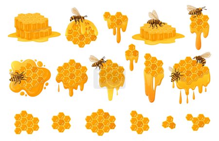 Illustration for Cartoon honeycomb set. Sweet honey honey drops with honey bees, beekeeping, honeycraft and apiary flat vector symbols collection. Honeycomb with melting honey - Royalty Free Image