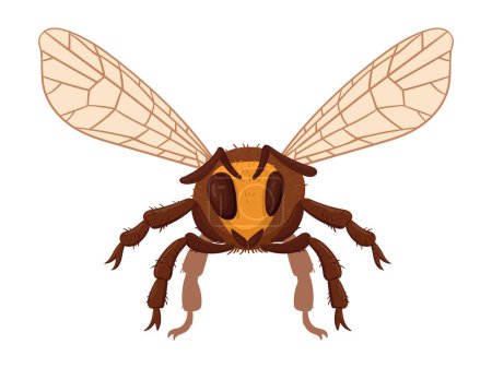 Téléchargez les illustrations : Abeille à miel dessin animé. Insecte d'abeille volante, bourdon ailé. Mignonne illustration vectorielle plate d'insecte rayé sur fond blanc - en licence libre de droit
