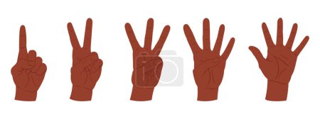 Illustration for Counting hands. Cartoon hand palms gestures, counting from one to five gestures flat vector illustration set. Hands with countdown gestures - Royalty Free Image