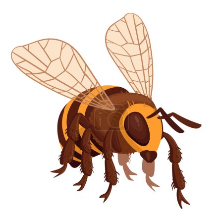 Illustration for Honey bee. Cartoon flying bee insect, cute striped bumblebee. Winged insect flat vector illustration on white background - Royalty Free Image