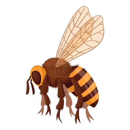 Téléchargez les illustrations : Abeille volante de dessin animé. Insecte abeille, bourdon rayé. Illustration vectorielle plate d'abeille ailée mignonne sur fond blanc - en licence libre de droit