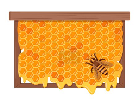 Photo for Bee with honeycomb. Cartoon honeycomb with sweet melting honey, honeycraft and beekeeping concept. Honey bee sitting on honeycomb flat vector illustration - Royalty Free Image