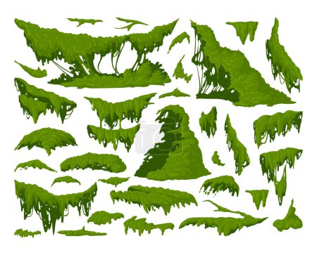 Ilustración de Plantas de musgo verde. Dibujos animados musgo de la selva colgando y arrastrándose, liquen y musgo conjunto de ilustración vector plano. Colección de flora tropical lluviosa - Imagen libre de derechos