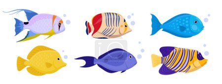 Illustration for Wild underwater fish. Cartoon exotic fish tropical fish, saltwater marine fauna flat vector illustration set. Fish collection - Royalty Free Image