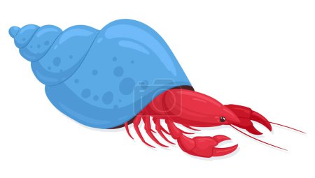 Téléchargez les illustrations : Crabe ermite. Écrevisses à caricature avec coquille, faune marine sous-marine illustration vectorielle plate sur fond blanc - en licence libre de droit