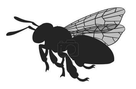 Téléchargez les illustrations : Silhouette d'abeille. Dessin animé insecte volant abeille, bourdon ailé, mignon abeille silhouette vecteur plat illustration - en licence libre de droit