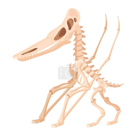 Ilustración de Antiguo esqueleto de dino. Dibujos animados silueta de reptil jurásico, huesos fósiles de dinosaurio vector plano ilustración sobre fondo blanco - Imagen libre de derechos