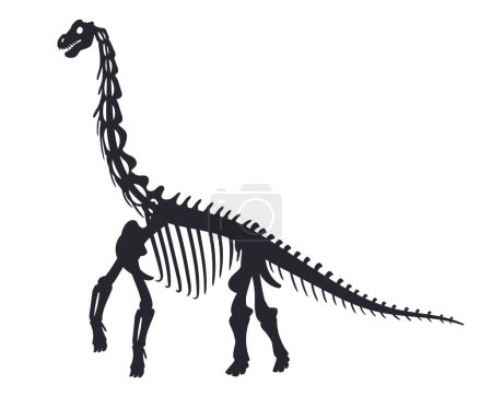 Illustration for Cartoon diplodocus fossil. Jurassic period dinosaur skeleton, ancient diplodocus bones flat vector illustration. Archaeological fossil skeleton silhouette - Royalty Free Image