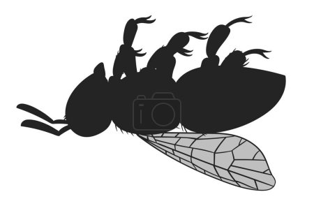 Téléchargez les illustrations : Abeille chérie couchée à l'envers. Silhouette d'abeille de dessin animé, insecte ailé d'abeille domestique, illustration vectorielle plate de bourdon couché. Silhouette abeille miel - en licence libre de droit