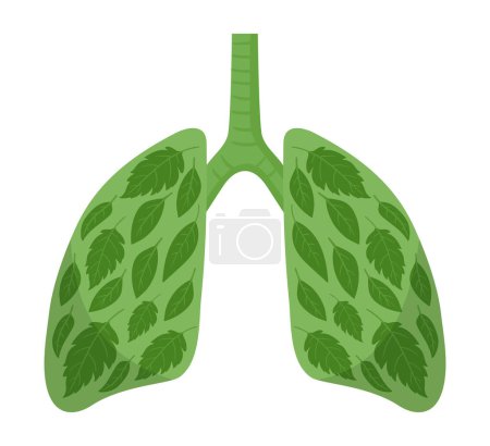 Téléchargez les illustrations : Dessin animé poumons sains. Poumons propres humains, métaphore des poumons de la planète verte, bon état écologique illustration vectorielle plate. Système respiratoire propre - en licence libre de droit