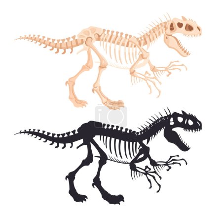 Ilustración de Siluetas de esqueleto Dino. Depredador raptor fósiles huesos, dinosaurio antiguo silueta plana vector ilustración conjunto. esqueleto de reptil jurásico - Imagen libre de derechos