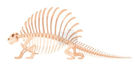 Ilustración de Huesos fósiles de dinosaurios. Dibujos animados antiguo fósil de reptil Jurásico, esqueleto de dino ilustración vector plano sobre fondo blanco - Imagen libre de derechos
