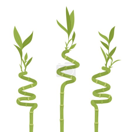 Illustration for Bamboo stems. Cartoon asian forest bamboo sprouts, young branches with leaves, fresh green bamboo stem flat vector illustration. Chinese or Japanese plants - Royalty Free Image