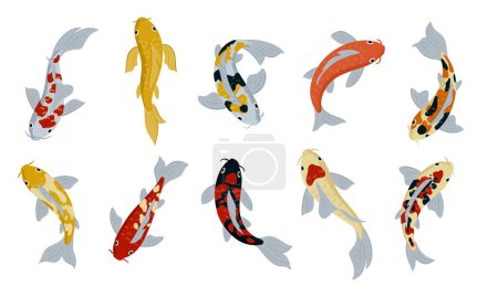 Illustration for Japanese koi fishes. Cartoon carp fish, oriental fish koi, asian carp flat vector symbols illustration set. Oriental koi carp fish collection - Royalty Free Image