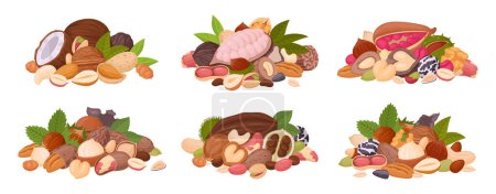 Illustration for Nuts mix set. Seeds and nuts bunches, raw walnut, macadamia and almond mix, vegetarian diet organic snack flat vector illustration set. Tasty nut mixes - Royalty Free Image