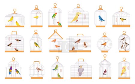 Illustration for Cartoon bird cages. Exotic birds iron wire cages, decorative birds, parrot, finch, cute budgie, canary and cockatoo flat vector illustration set. Domestic birds sitting in cages - Royalty Free Image