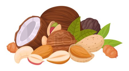 Illustration for Cartoon nuts mix. Seeds and nuts bunch, cashew, walnut, peanut and almond mix, vegetarian diet organic snack flat vector illustration. Raw nut mix - Royalty Free Image