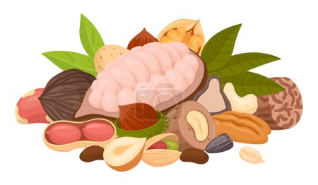 Illustration for Cartoon seeds and nuts bunch. Raw nuts mix, almond, peanut, cashew and walnut mix, vegetarian diet organic snack flat vector illustration. Tasty nuts mix - Royalty Free Image