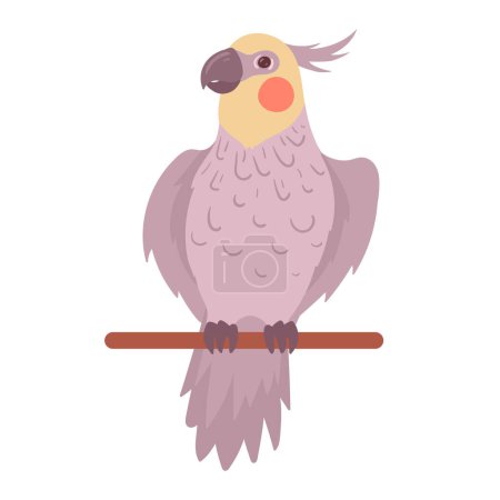 Illustration for Cartoon cockatoo. Cute colorful cockatoo bird, decorative domestic parrot sitting on perch flat vector illustration. Cockatoo bird on white background - Royalty Free Image