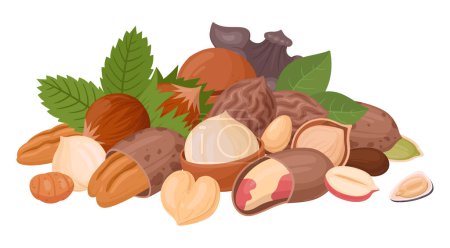 Illustration for Nuts and seeds handful. Raw seeds bunch, almond, peanut, cashew and walnut mix, vegetarian diet organic mix flat vector illustration. Organic nuts mix - Royalty Free Image