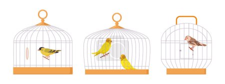 Ilustración de Aves domésticas en jaulas de hierro. Jaulas de aves de dibujos animados, periquitos lindos y pinzones, aves exóticas en jaulas conjunto de ilustración vector plano. Aves decorativas sentadas en jaulas - Imagen libre de derechos