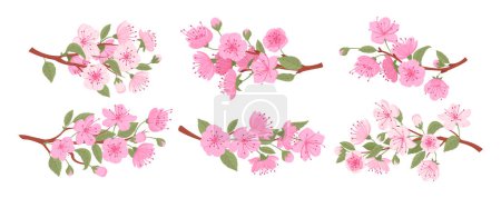 Téléchargez les illustrations : Sakura branches florissantes. Ensemble d'illustration vectorielle plate de cerisier japonais de printemps, fleurs de sakura et bourgeons. traditionnelle asiatique floraison branche collection - en licence libre de droit