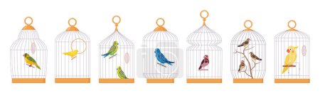 Illustration for Decorative birds in cages. Domestic exotic bird cages, parrot, finch, budgie, canary and cute cockatoo flat vector illustration set. Cartoon birds sitting in cages - Royalty Free Image