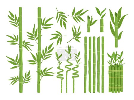 Téléchargez les illustrations : Set de bambou asiatique. Dessin animé pousses de bambou vert, plantes forestières de bambou avec des feuilles et des branches collection d'illustrations vectorielles plates. Flore chinoise ou japonaise - en licence libre de droit