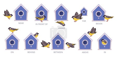 Birdhouse English prepositions. Birds position of bird house, above, around and above flat vector illustration set. Preposition school education