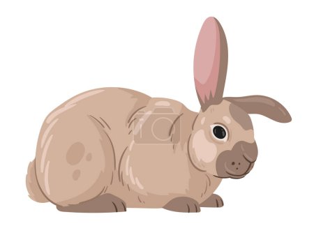 Illustration for Spring Easter rabbit. Cute bunny, fluffy eared animal, domestic bunny flat vector illustration. Easter holiday rabbit on white - Royalty Free Image