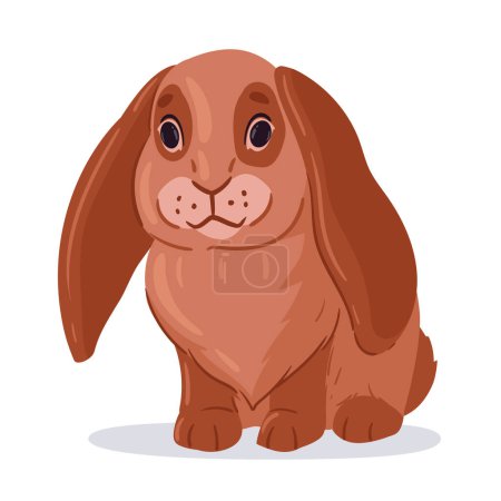 Illustration for Easter bunny. Cute lop-eared rabbit, eared domestic animal, little fluffy bunny flat vector illustration. Easter spring holiday rabbit on white - Royalty Free Image