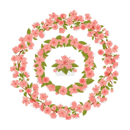 Illustration for Japanese blooming sakura frames. Spring cherry pink flowers frame, sakura blossom branch round wreaths flat vector illustration. Cherry blossom borders - Royalty Free Image